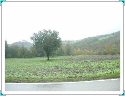 fields near Bisano