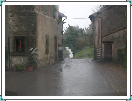 road through farm near Piancaldoli