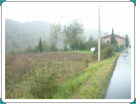 Bisano Sassonero Road towards Hill 566